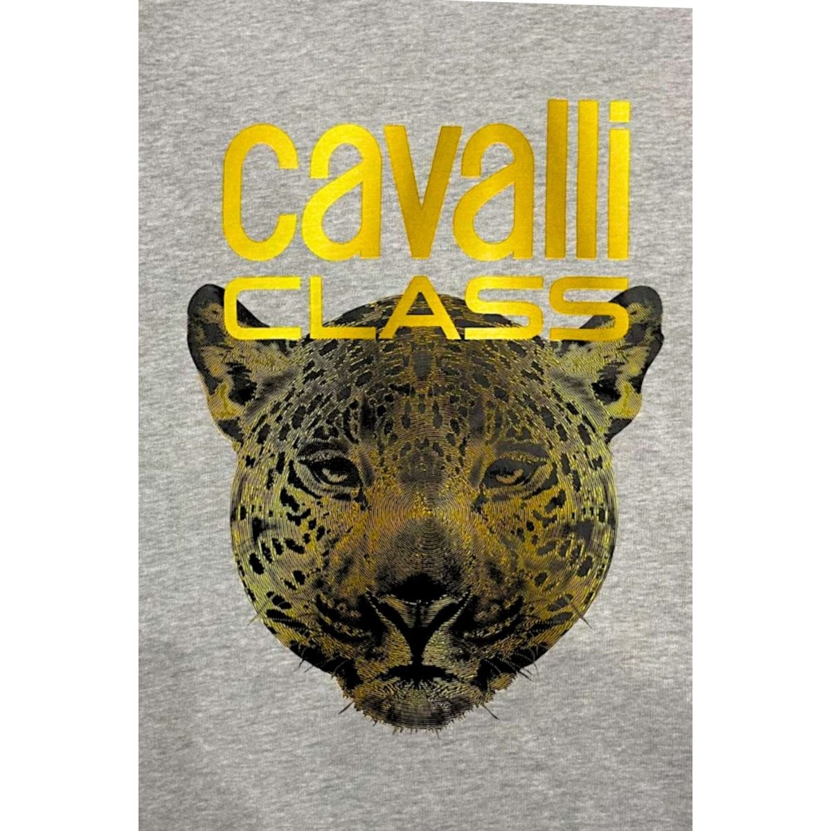 Cavalli Class Sweatshirts - Brands Outlet