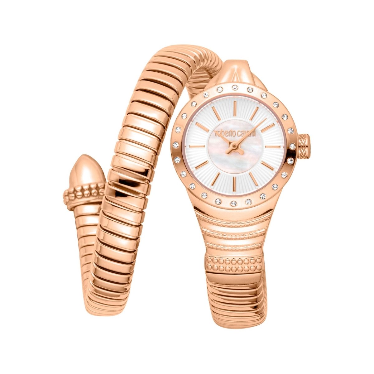 Orologi Roberto Cavalli - Brands Outlet