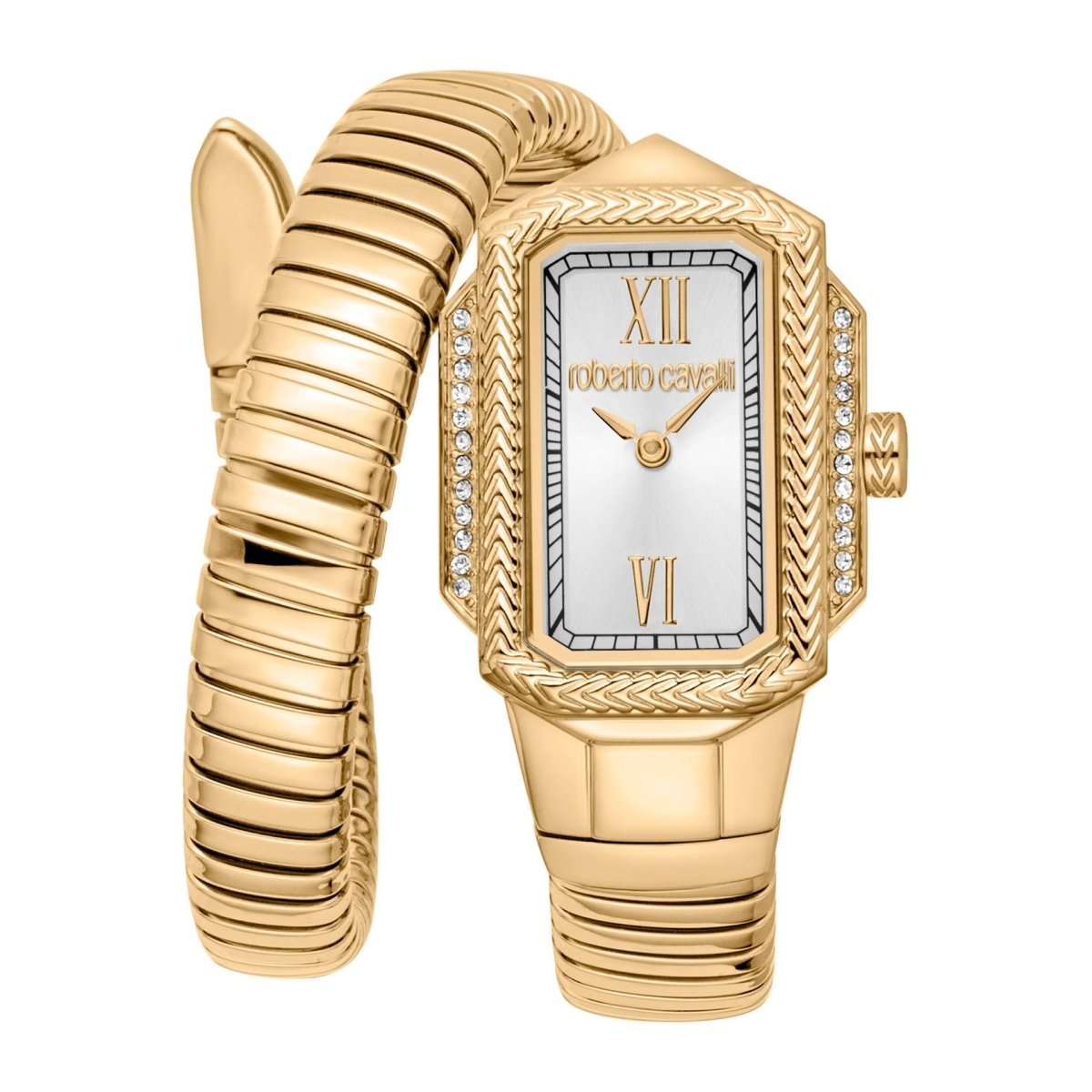 Orologi Roberto Cavalli - Brands Outlet