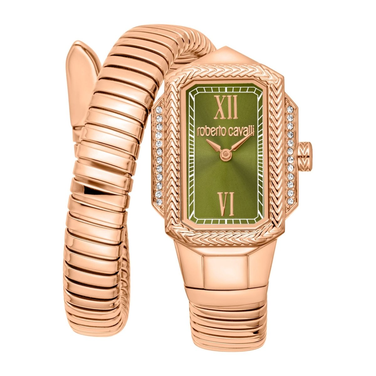 Orologi Roberto Cavalli - Brands Outlet