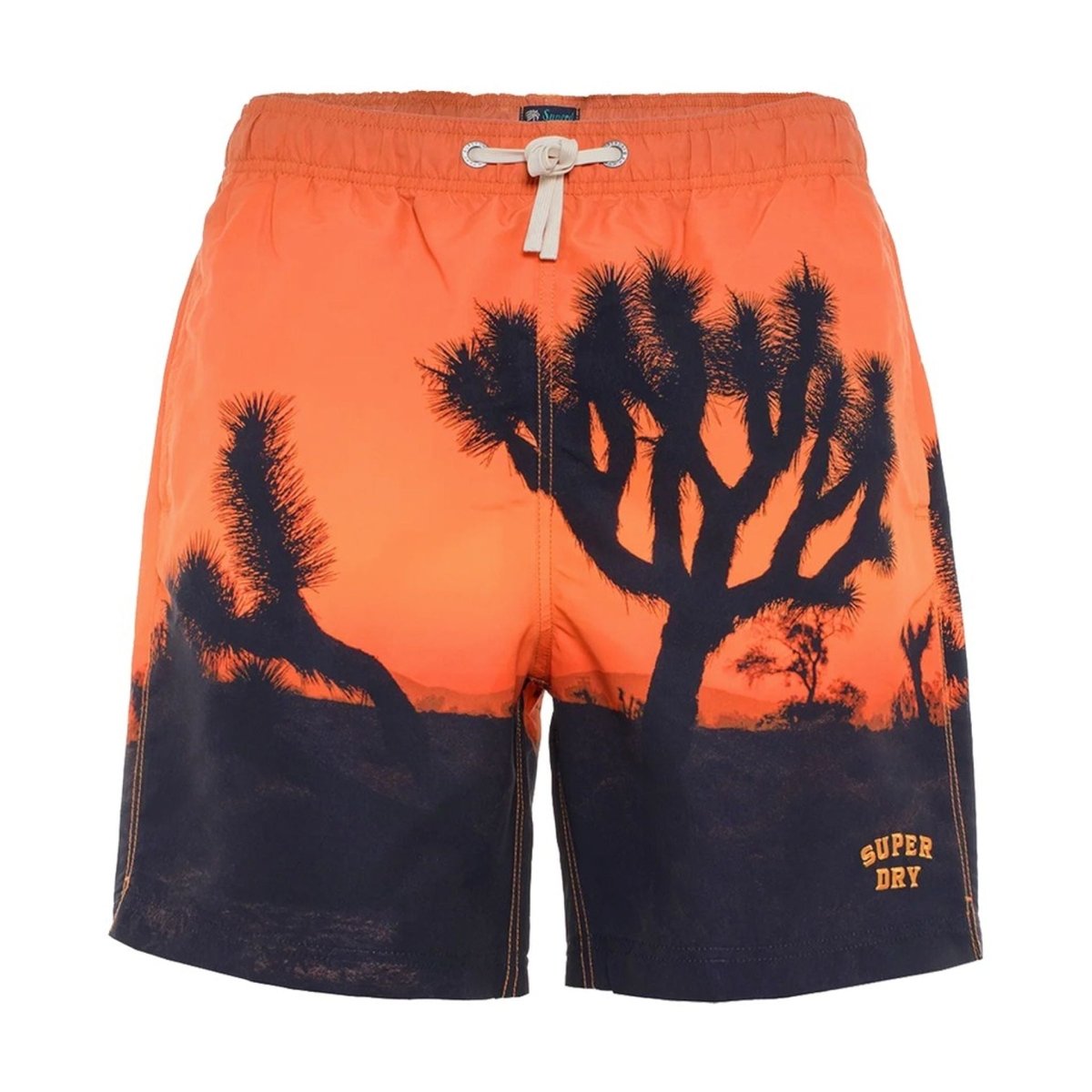 Costumi da bagno Superdry - Brands Outlet